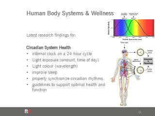 Workplace Wellness