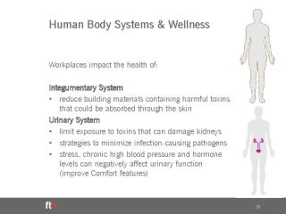 Workplace Wellness